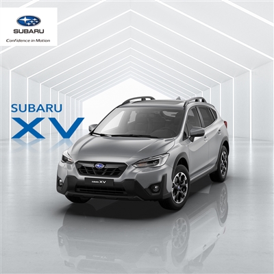 XV